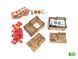 Organizer for the board game Great Western Trail 2nd Edition + additions